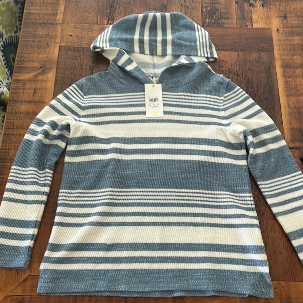 Dylan Surf Stripe Roxy Hoodie
